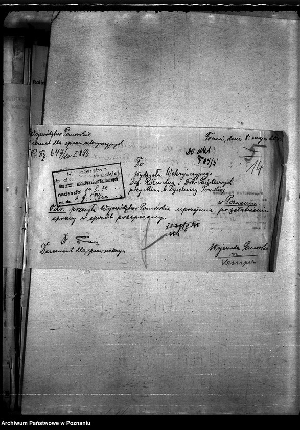 Obraz 18 z jednostki "Nosacizna - Grudziądz"