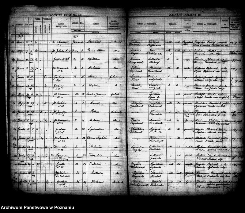 Obraz 13 z jednostki "Księga urodzin"