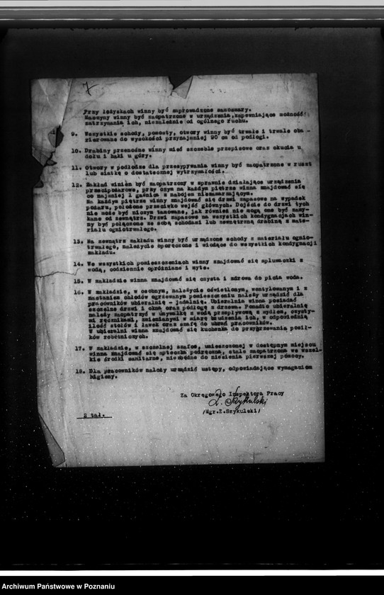 Obraz 11 z jednostki "/Plan urządzenia młyna wodno-elektrycznego w Poznaniu ul. Gnieźnieńska 47/"