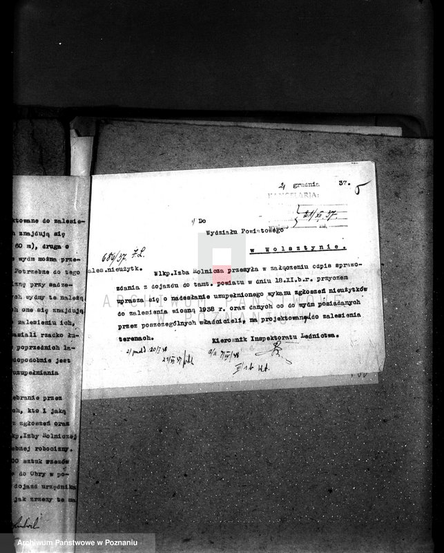 Obraz 12 z jednostki "Zalesienie nieużytków pod nadzorem Izby Rolniczej w powiecie wolsztyńskim"