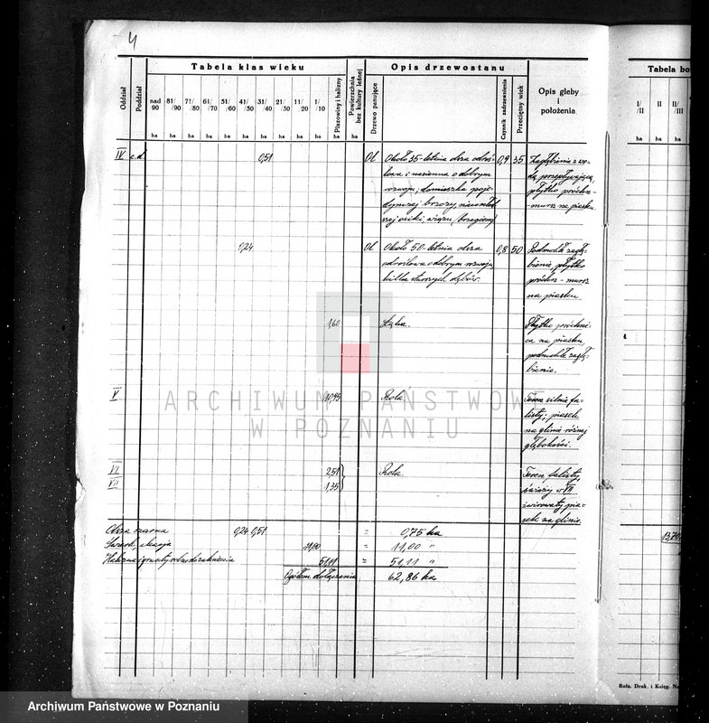 Obraz 8 z jednostki "Dodatkowy plan do planu urządzania gospodarstwa leśnego dla lasu majętności Lubasz w powiecie czarnkowskim"