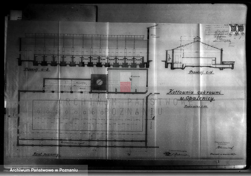 Obraz 13 z jednostki "Cukrownia Opalenica Spółka Akcyjna, nr woj. 6831"