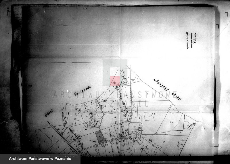 Obraz 6 z jednostki "Przewłaszczenie ziem dotacyjnych Panigródz powiat wągrowieckiego"