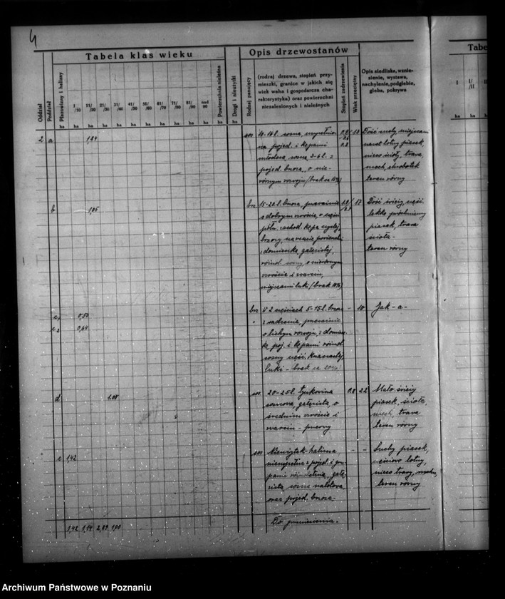 Obraz 8 z jednostki "Program urządzenia gospodarstwa leśnego dla lasu majątku Borowy-Młyn w powiecie międzychodzkim/"