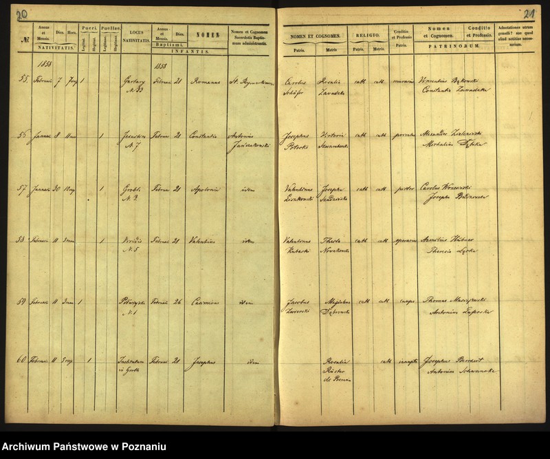 Obraz 13 z jednostki "Księga urodzin"