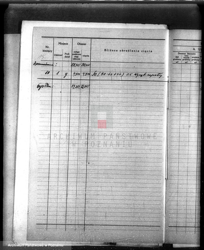 Obraz 19 z jednostki "/Nadzór nad gospodarką leśną gminy miasta Czarnkowa"