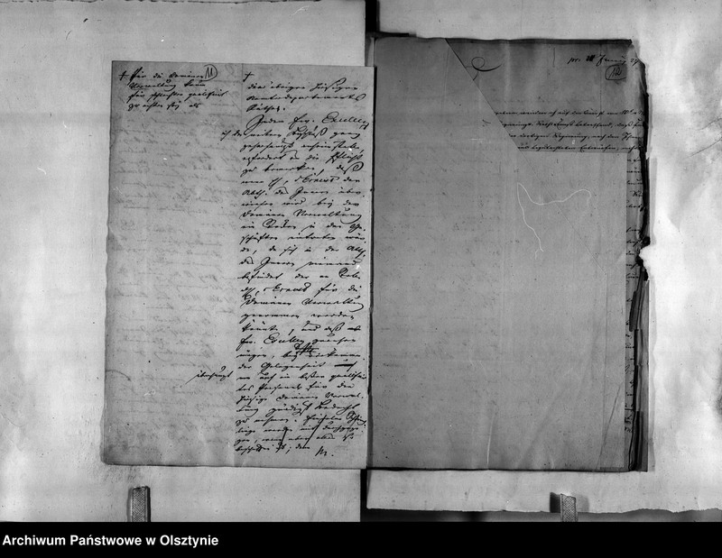 image.from.unit.number "Regierungs-Rath von Ernest"