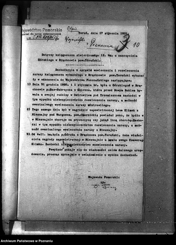 Obraz 15 z jednostki "Księgosusz - Toruń"