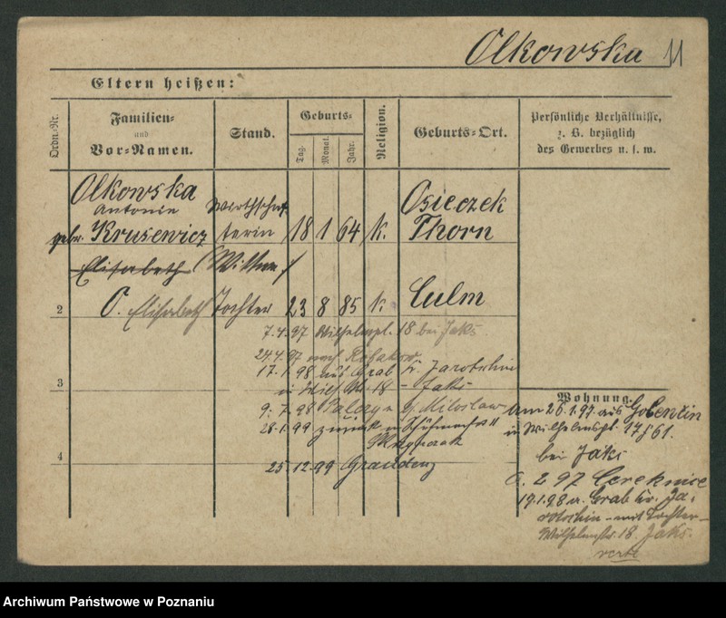 Obraz 13 z jednostki "Olk - Olszewski"