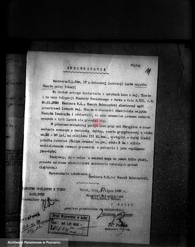 Obraz 15 z jednostki "Sprawa wyłączeń z art.. 4 ustawy z 28 XII 1925 r. i zatwierdzenie projektu planu gospodarczego dla lasu majątku Chocim powiat turecki"