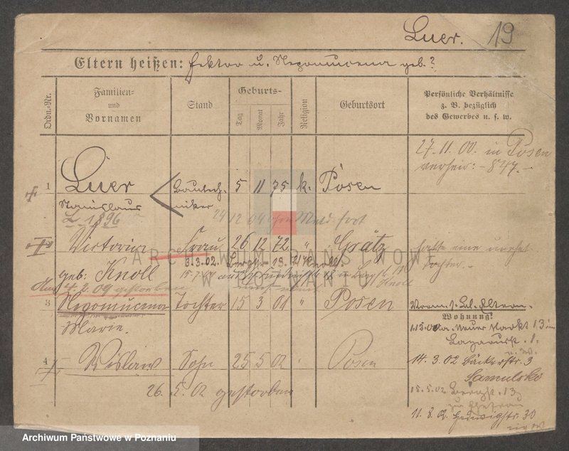 Obraz 19 z jednostki "Lir - Lirsz (Lie..)"