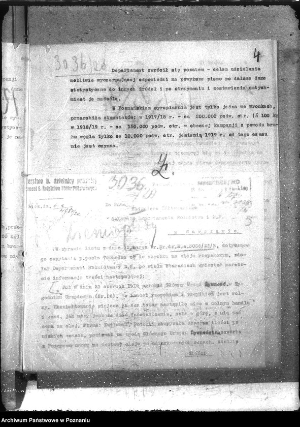 Obraz 8 z jednostki "Ziemiopłody"