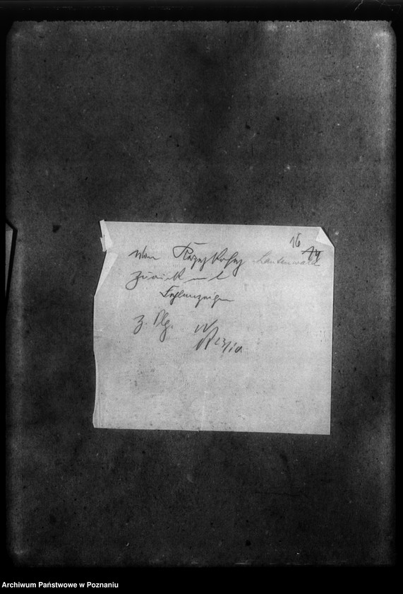 Obraz 20 z jednostki "Korespondencja w sprawie Niemców, którzy zginęli w 1939 roku w różnych powiatach"