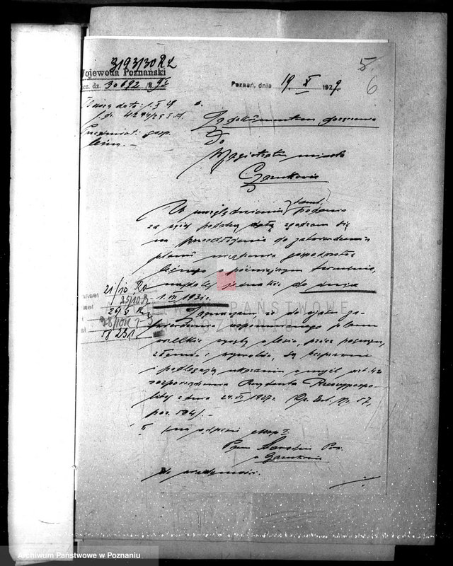 Obraz 10 z jednostki "Magistrat miasta Czarnkowa /nadzór nad gospodarką leśną/"