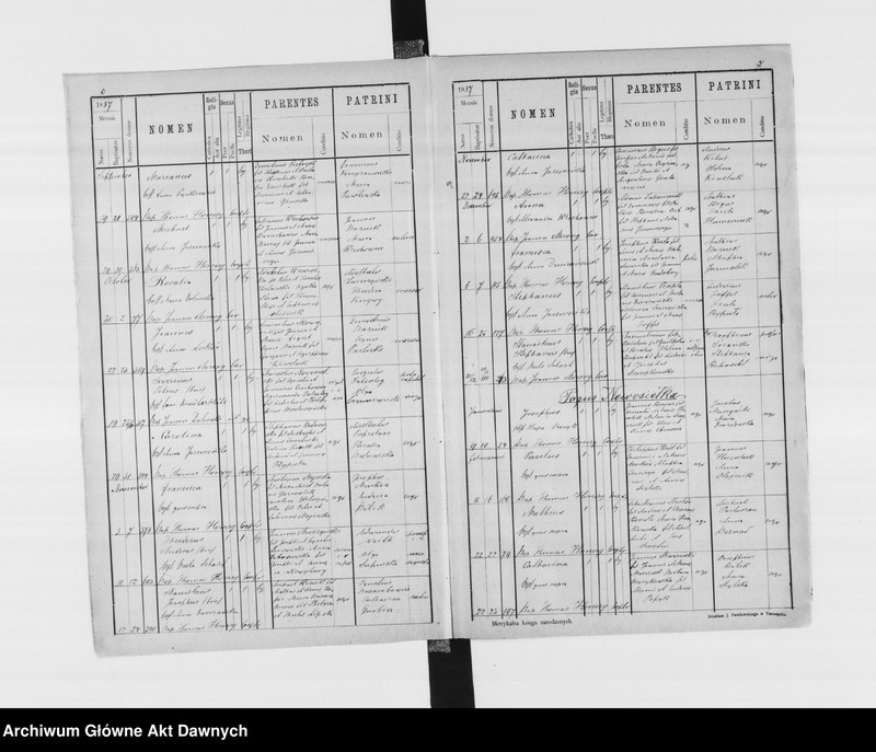 image.from.unit.number "Parafia: Skałat. Dekanat: Skałat. Księga metrykalna urodzeń, ślubów i zgonów dla miasta Skałat i wsi: Bogdanówka*, Horodnica, Kamionki*, Krzywe, Kołodziejówka**, Nowosiółka, Mołczanówka***, Połupanówka****, Panasówka**, Poznanka Zgniła, Rosochowaciec*, Stary Skałat****."