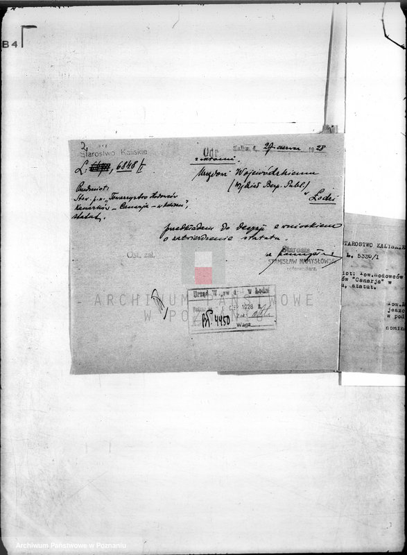 Obraz 7 z jednostki "/Towarzystwo Hodowców Kanarków,,Canaria" w Kaliszu/"