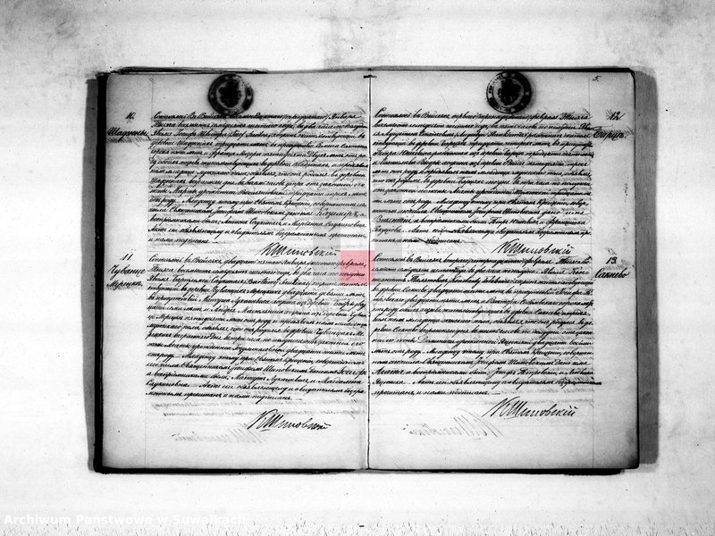 image.from.unit.number "Duplikat aktov rodivšichsja, umeršich i brakosočetavšichsja vejsejskogo rimsko-katoličeskogo prichoda na 1876 god"