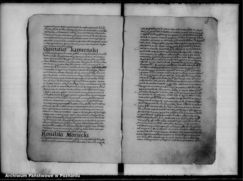 Obraz 19 z jednostki "Inscriptiones, relationes [inducta]"