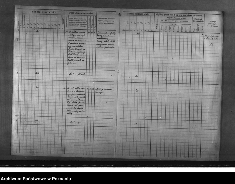 Obraz 14 z jednostki "Program urządzenia gospodarstwa leśnego dla lasu majętności Glinno powiat poznański 1928-1938"