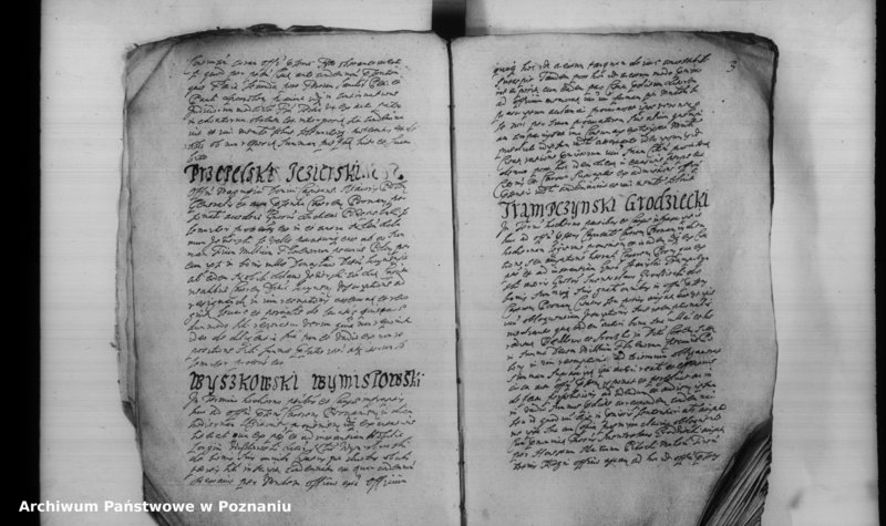 Obraz 6 z jednostki "Inscriptiones [inducta]"