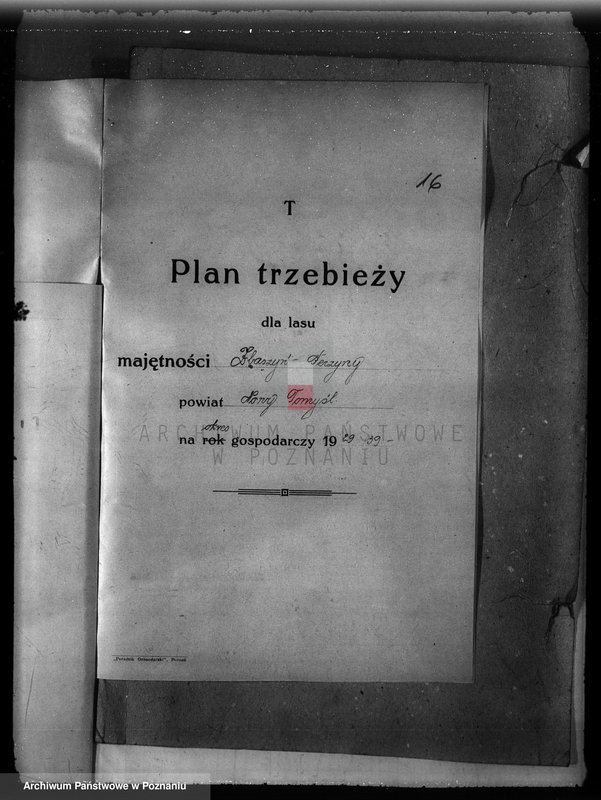 Obraz 20 z jednostki "Plan urządzenia gospodarstwa leśnego dla lasu majętności Zbąszyn-Perzyny powiat nowotomyski 1929-1939"