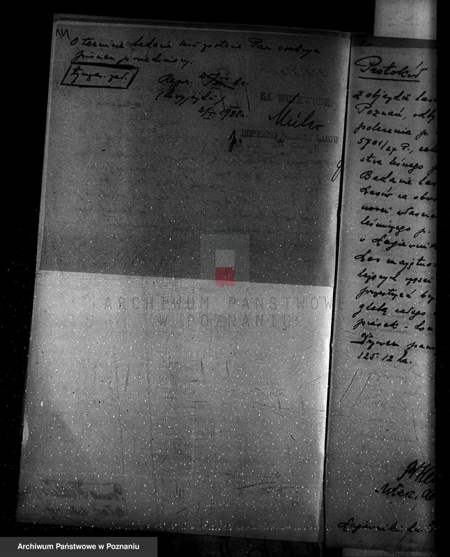 Obraz 18 z jednostki "Nadzór nad gospodarką w lasach majętności Łagiewniki"