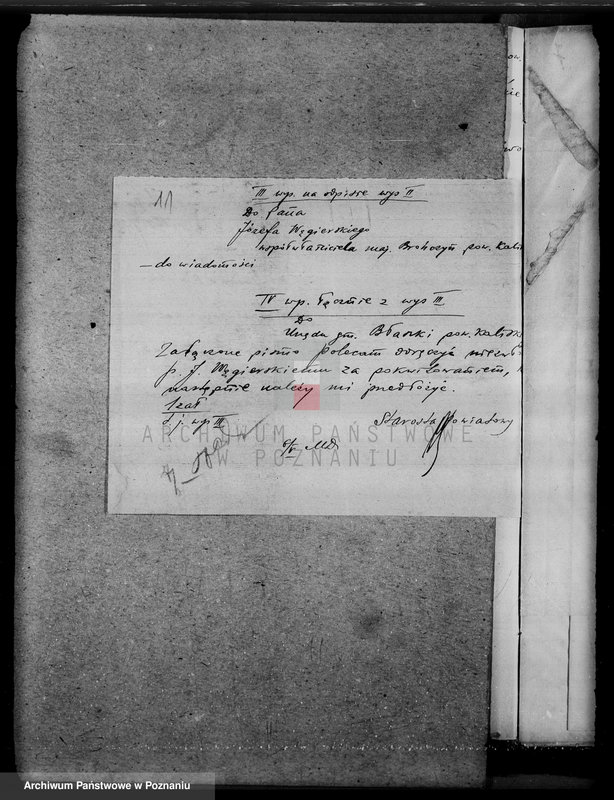 Obraz 15 z jednostki "Zmiana rodzaju użytkowania 40 ha gruntów leśnych w majątku Brańczyn w powiecie kaliskim"