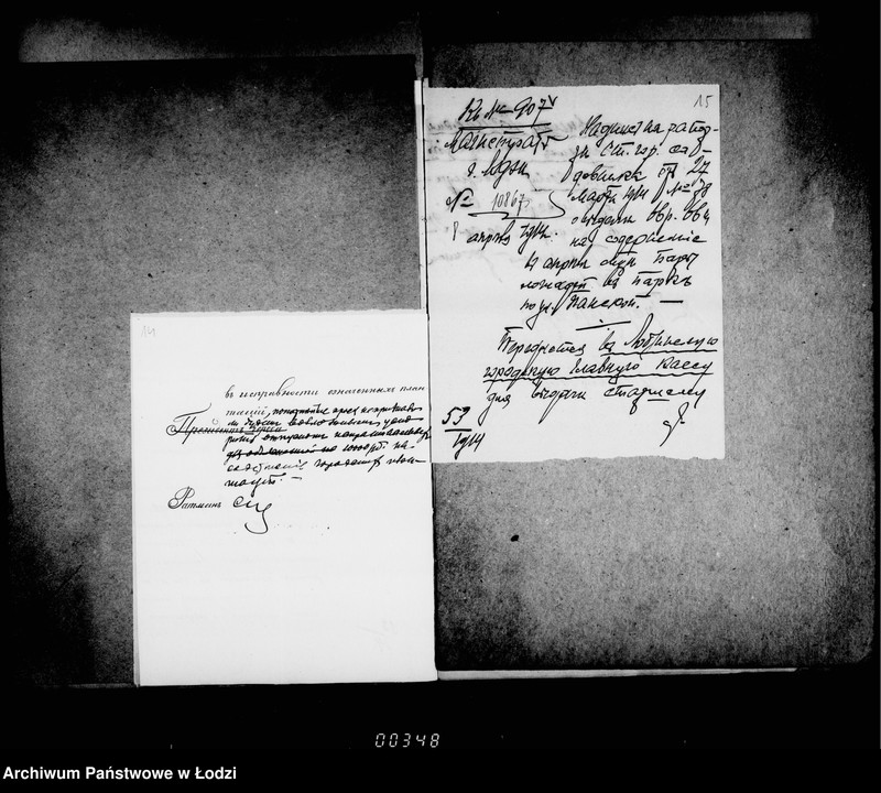 Obraz 13 z jednostki "O raschodach po soderžaniju v ispravnosti gorodskago parka po Panskoj ulice"