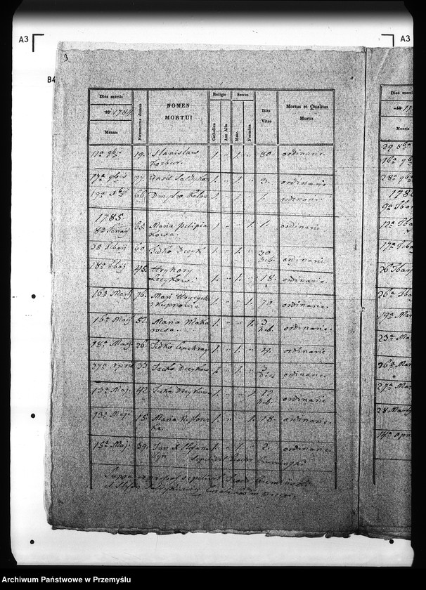 Obraz 7 z jednostki "[Kopie ksiąg metrykalnych parafii Brzegi (dekanat Sambor)]"