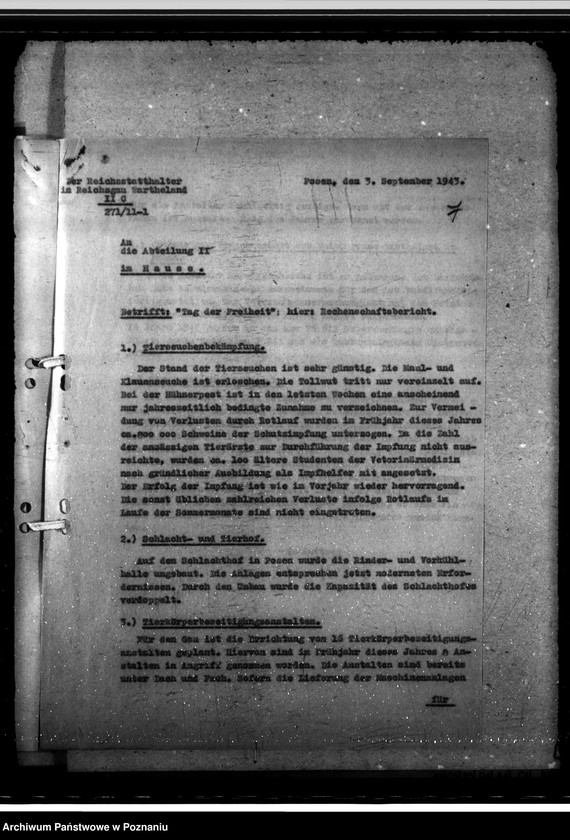 Obraz 11 z jednostki "Programm "Tag der Freiheit" - Leistungsbericht"