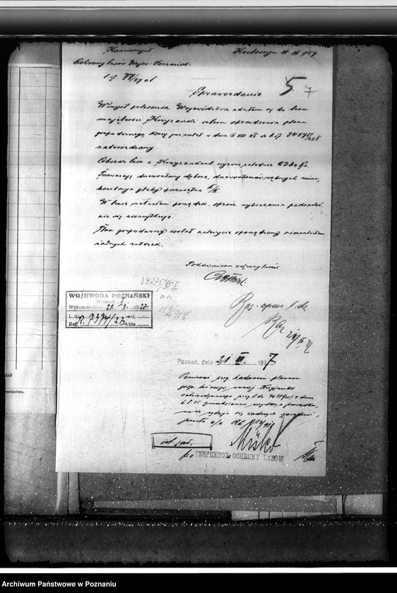 Obraz 11 z jednostki "Majętność leśna Krzyżanki w powiecie gostyńskim"