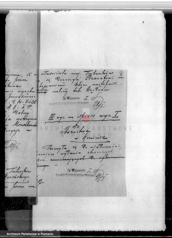 Obraz 11 z jednostki "Las miasta Tuliszkowo powiat koniński"