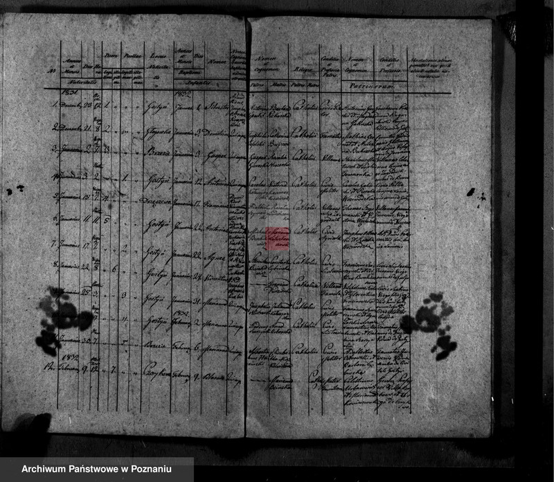 Obraz 4 z jednostki "Liber baptisatorum, copulatorum, mortuorum"