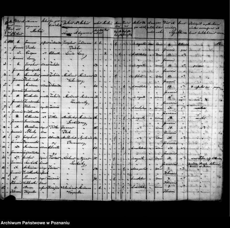 image.from.unit.number "Duplicatus baptisatorum, copulatorum, mortuorum"