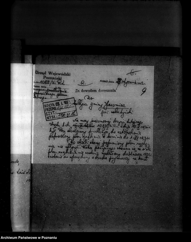 Obraz 15 z jednostki "Las gminy Jaromierz powiat wolsztyński"