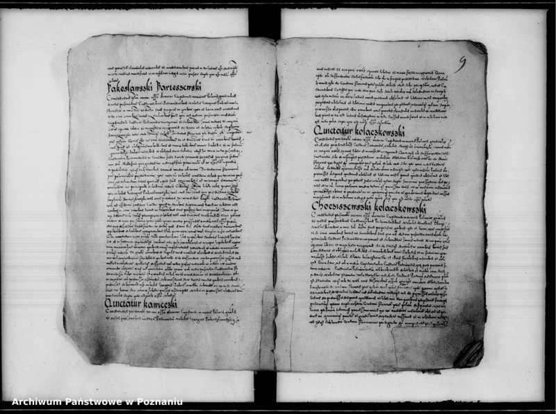 Obraz 14 z jednostki "Inscriptiones, relationes [inducta]"