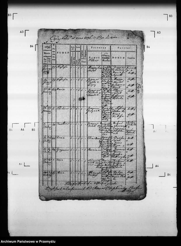 Obraz 5 z jednostki "[Kopie ksiąg metrykalnych parafii Zdynia z filiami Konieczna, Ług (dekanat Gorlice)]"