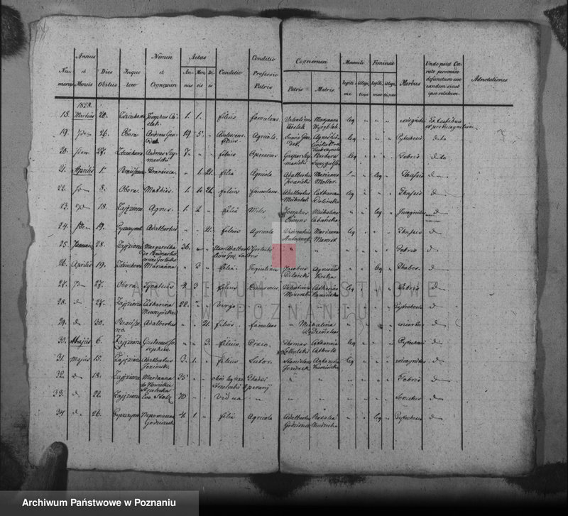 image.from.unit.number "Liber mortuorum"