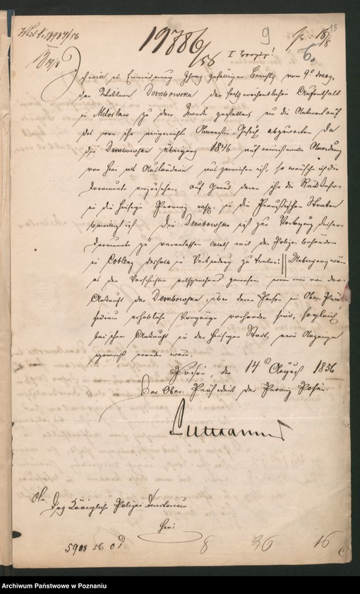 Obraz 13 z jednostki "A. betr. Personalia der Witwe Angelica von Dembowska und ihre Söhne Czeslaw und Eduard"