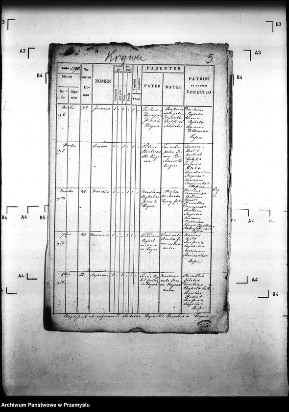 Obraz 9 z jednostki "[Kopie ksiąg metrykalnych parafii Krzywa z filią Banica (dekanat Gorlice)]"