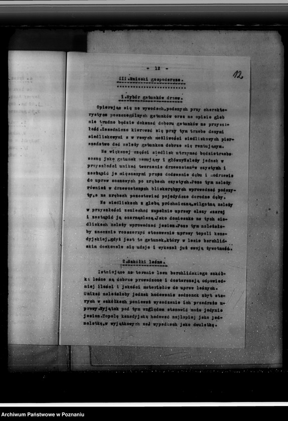 Obraz 16 z jednostki "Program urządzania gospodarstwa leśnego majętności Brachlin -powiat kościański"