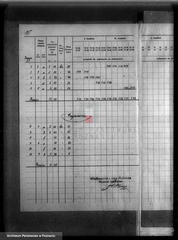 Obraz 19 z jednostki "Plan urządzenia gospodarstwa leśnego dla lasu majętności Grąblewo w powiecie nowotomyskim"