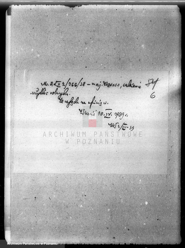 Obraz 11 z jednostki "/Majętność leśna Wąsowo w powiecie nowotomyskim/"