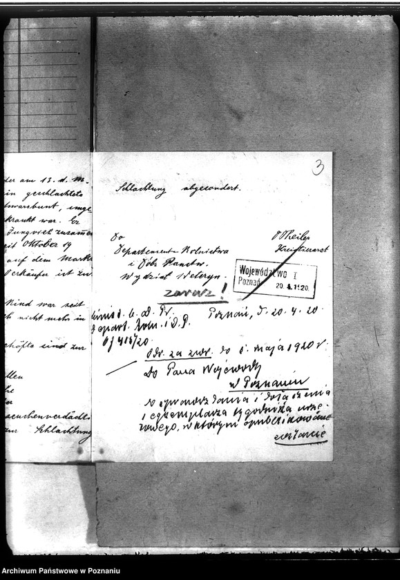 Obraz 7 z jednostki "Zaraza płucna - Jarocin"