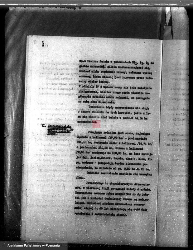 Obraz 12 z jednostki "Plan urządzania gospodarstwa leśnego dla lasu majętności Stary Białcz-Czacz powiat kościański 1935-1945"