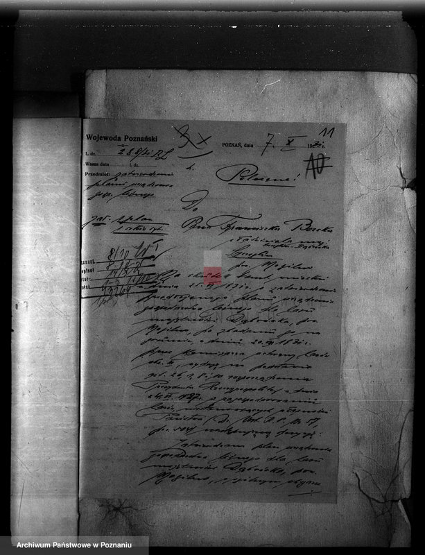 Obraz 15 z jednostki "Majętność /leśna/ Szczeglin Dąbrówka w powiecie mogileńskim"