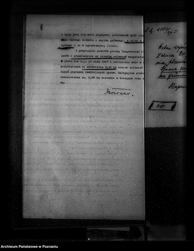 Obraz 12 z jednostki "Majętność leśna Stołężyn powiat wągrowiecki"