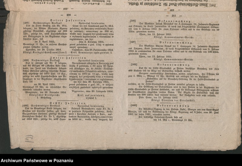 Obraz 15 z jednostki "A. betr. Witold Koczorowski"