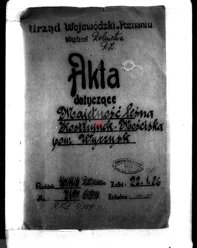 Obraz 4 z jednostki "Majętność leśna Kostrzynek-Mościska powiat wyrzyski"