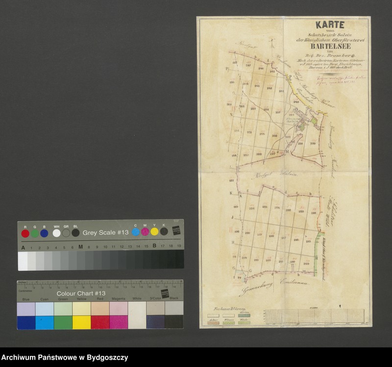 image.from.unit "Karte von Schutzbezirk Salvin der Königliche Oberförsterei Bartelsee im Regierungsbezirk Bromberg"